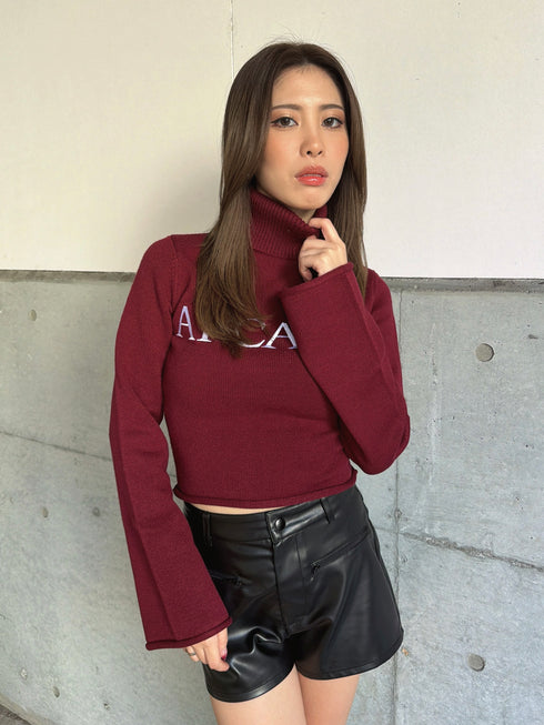 ARCANEニットトップス