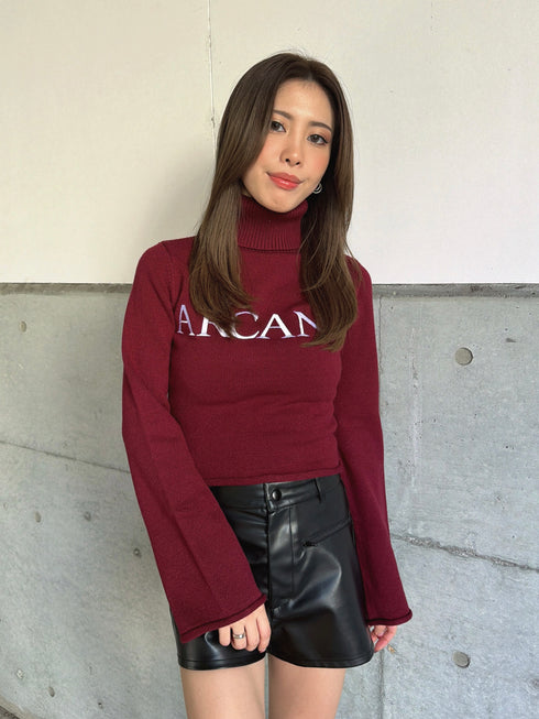 ARCANEニットトップス