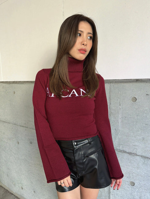 ARCANEニットトップス