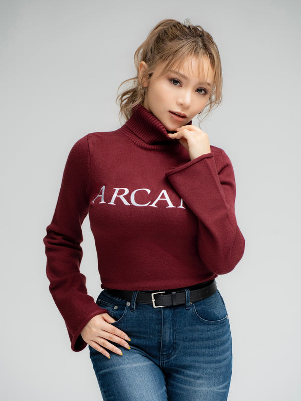 ARCANEニットトップス